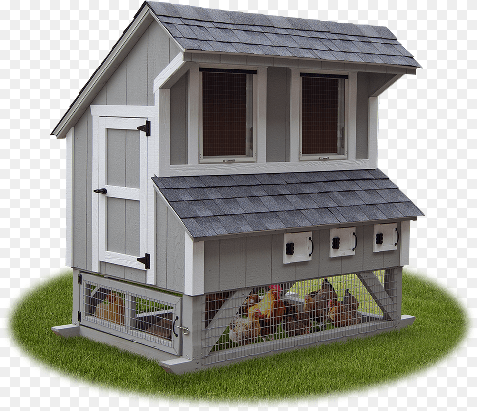 House, Animal, Fowl, Chicken, Bird Free Transparent Png