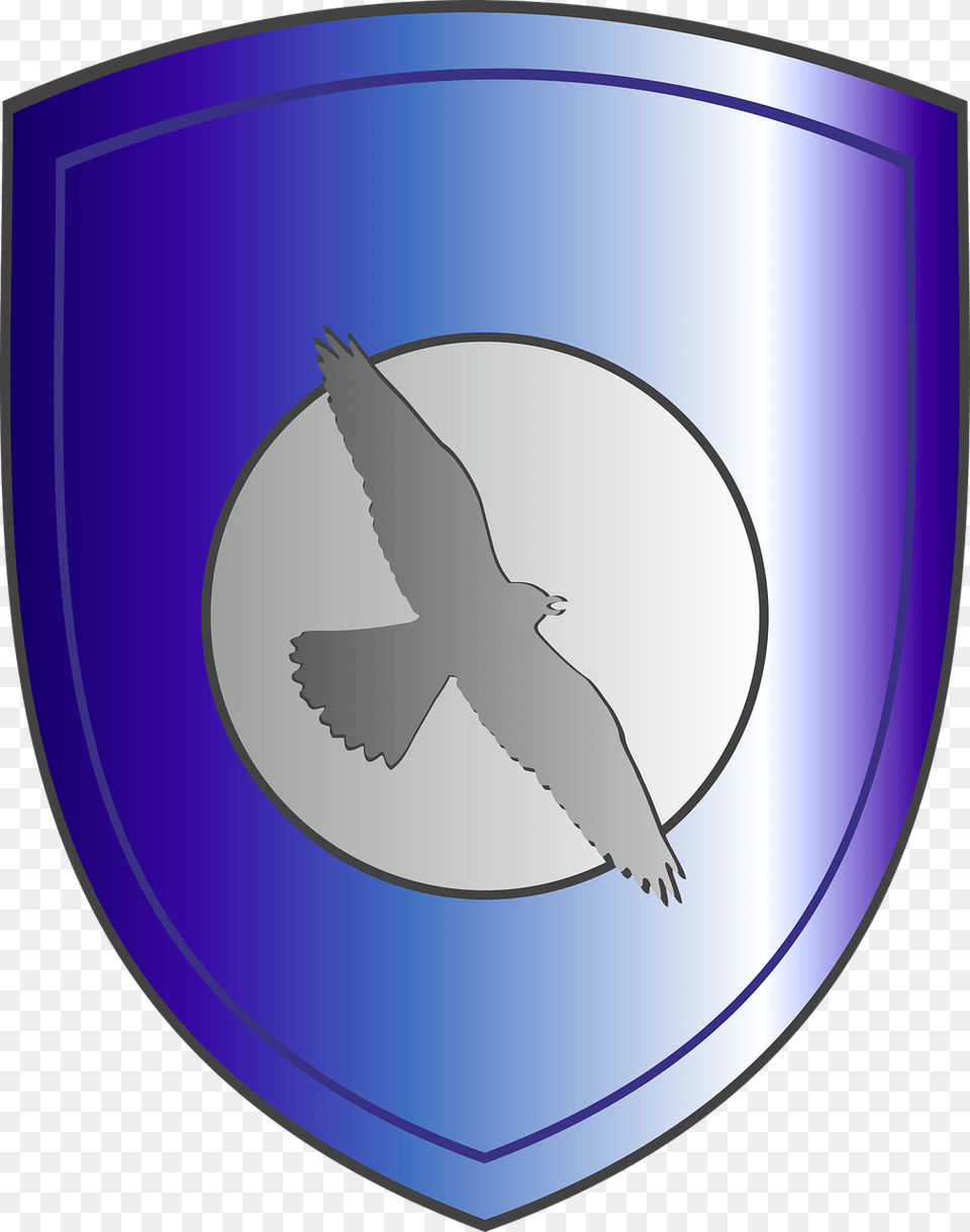 House Arryn, Armor, Person, Disk, Shield Free Png