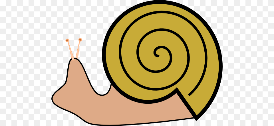 House Clipart Snail, Animal, Invertebrate Free Png