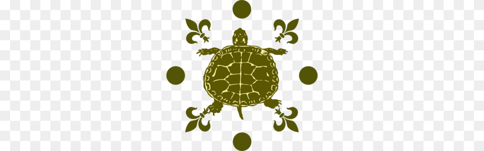 House Clipart Turtle, Animal, Reptile, Sea Life, Tortoise Free Png Download