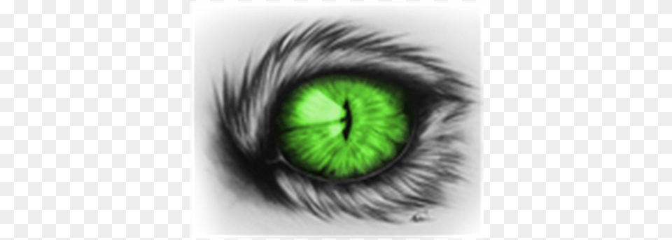 House Eye Drawing By Cat Eye Pencil Drawing, Art, Baby, Person, Graphics Png Image