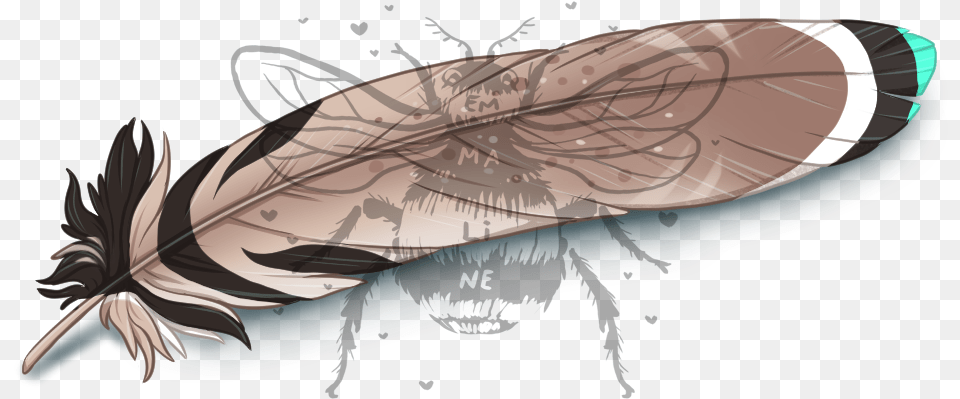 House Fly, Bottle, Animal, Fish, Sea Life Png Image