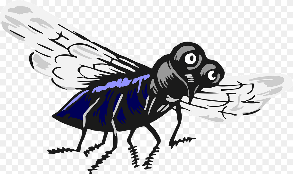 House Fly Clipart, Animal, Bee, Insect, Invertebrate Free Png