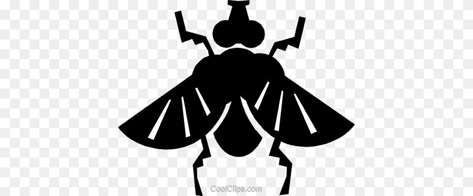 House Fly Royalty Vector Clip Art Illustration Amphibians, Animal, Bee, Insect, Invertebrate Png