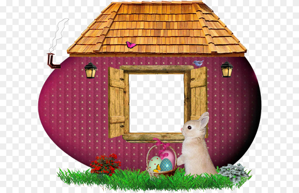 House Frame Gallery Yopriceville House With Photo Frame, Animal, Bird, Outdoors, Photography Png Image