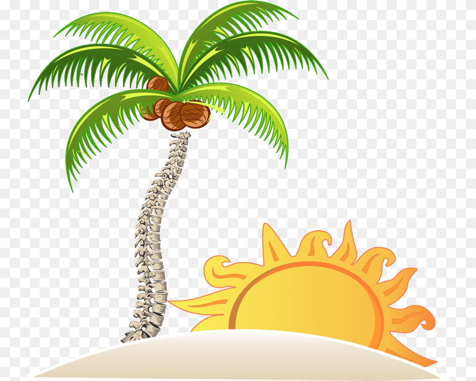 House In The Beach, Palm Tree, Plant, Tree, Leaf Png