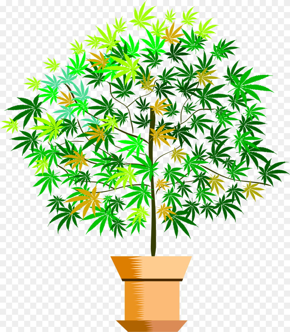 House Plant Clipart Picture Download Clipart Of Big Tree Flower Pot, Leaf, Potted Plant, Cookware, Vegetation Png Image