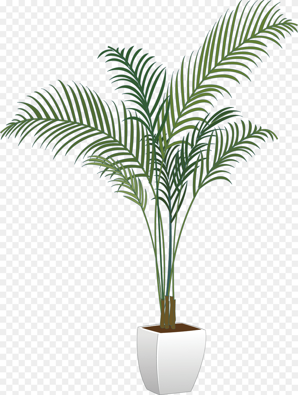 House Plant Potted Plant Transparent, Palm Tree, Potted Plant, Tree, Leaf Png Image