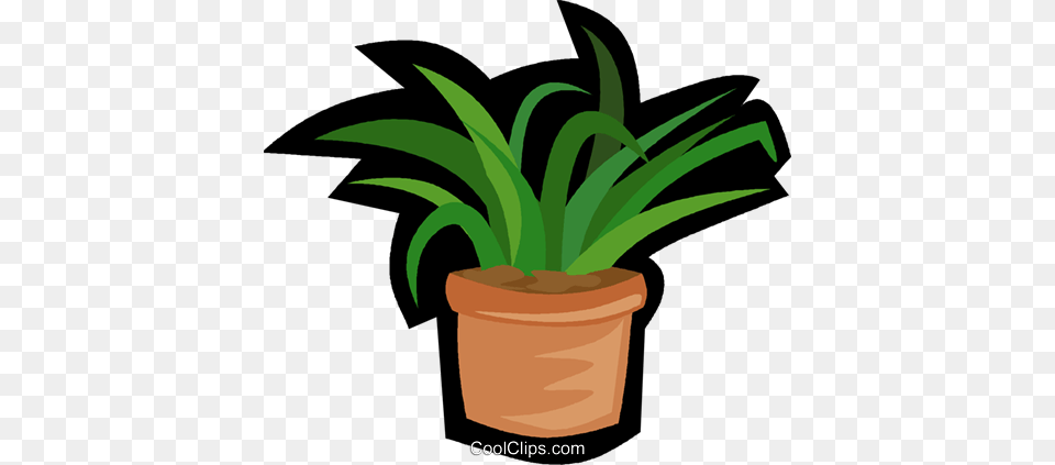 House Plant Yucca Plant Royalty Vector Clip Art Illustration, Potted Plant Free Transparent Png