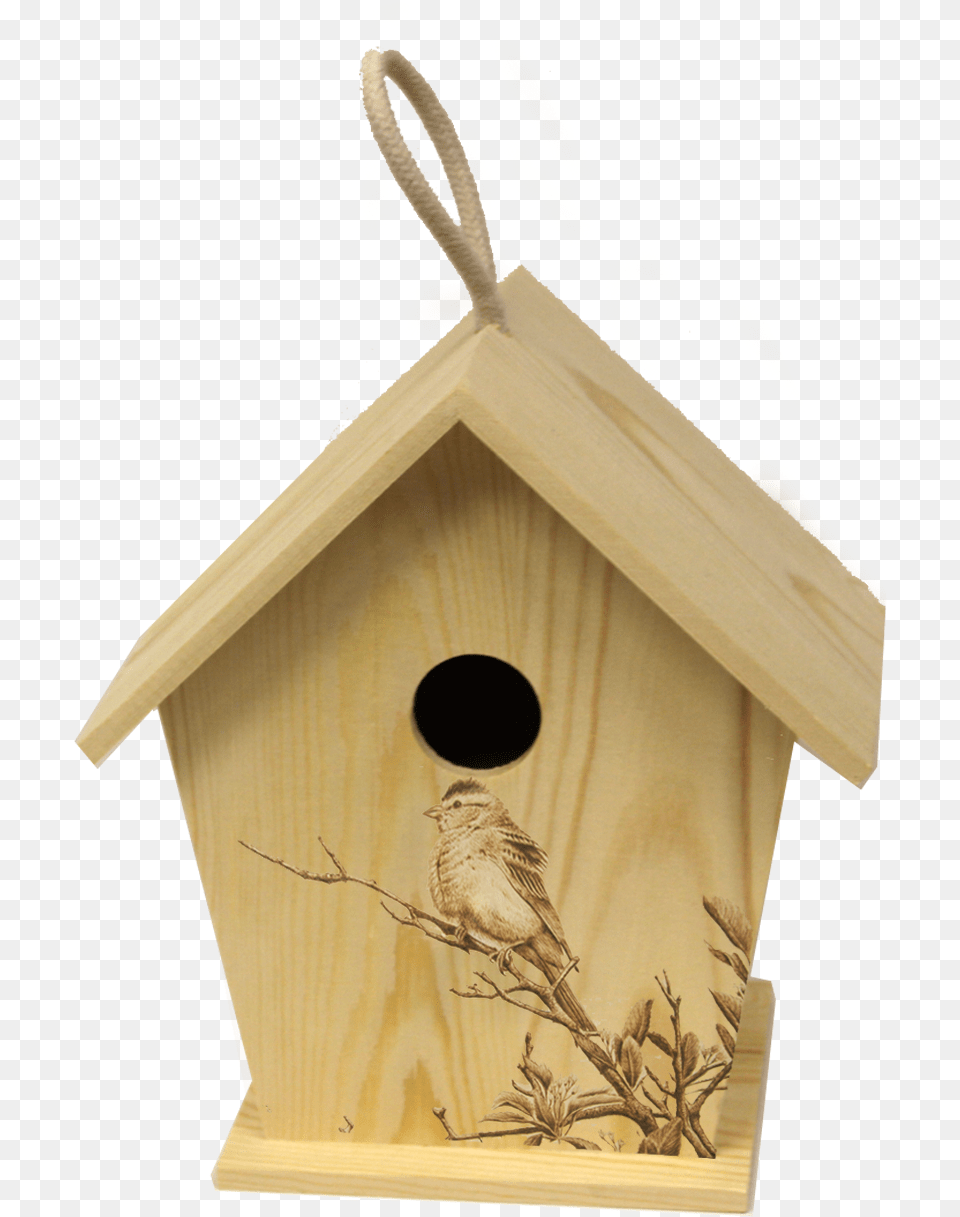 House Sparrow, Animal, Bird, Bird Feeder, Wood Free Png