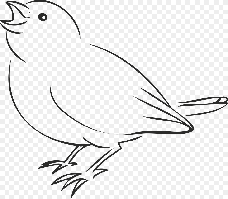 House Sparrow Bird Drawing Clip Art Drawing Of Sparrow Bird, Animal, Blackbird, Silhouette Free Transparent Png