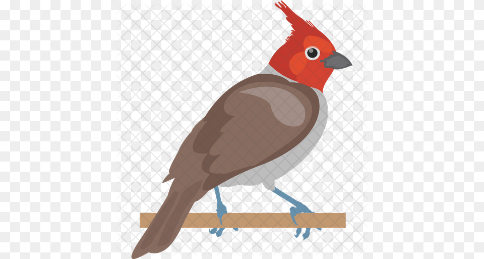 House Sparrow Icon Northern Cardinal, Animal, Beak, Bird Free Png