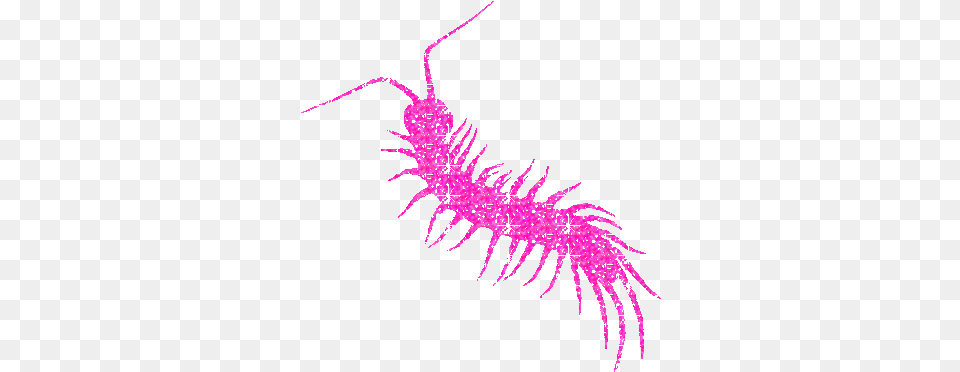 Housecentipedecentipedeglittereditpinkmineoktoedit Illustration, Purple, Animal, Person Free Png