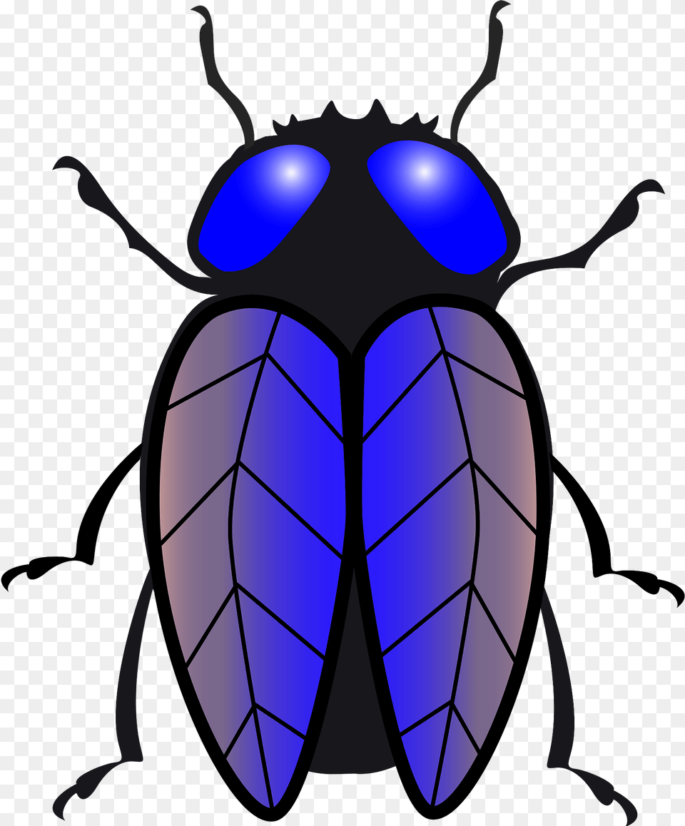 Housefly Clipart, Animal, Firefly, Insect, Invertebrate Free Png