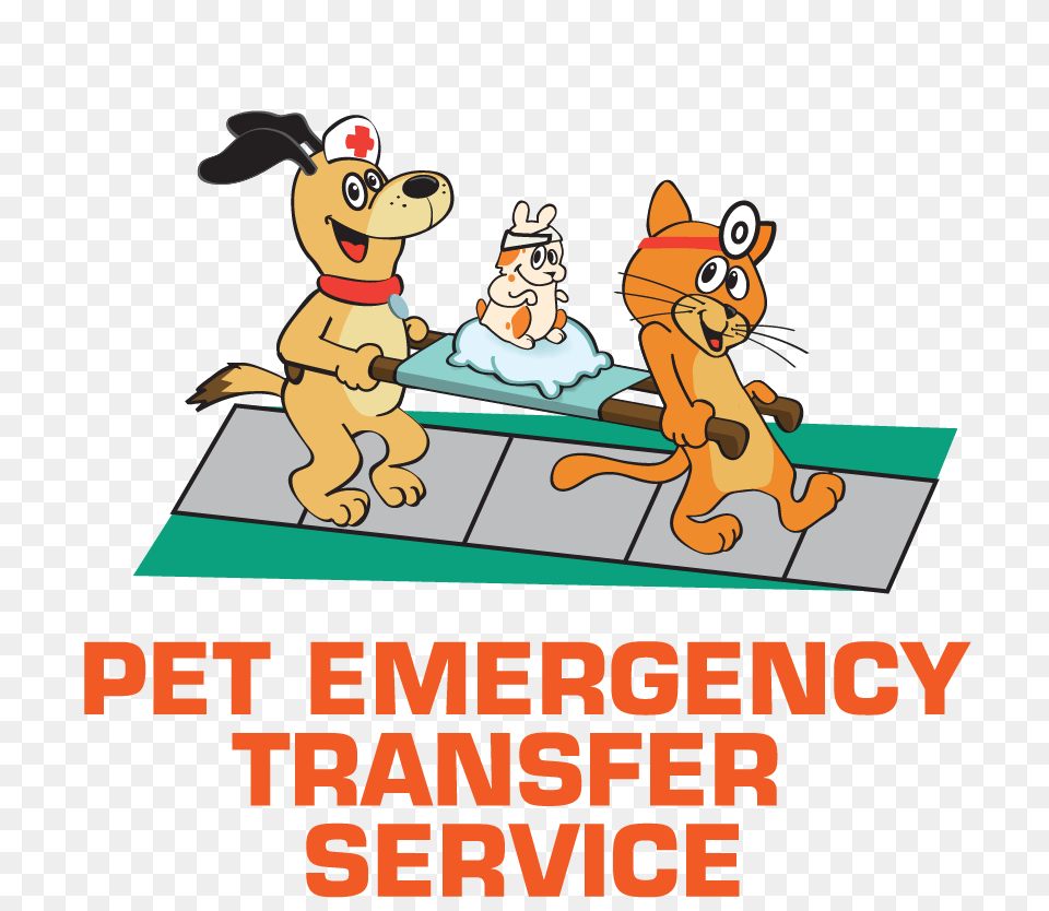 Housepaws Veterinarian Services In Nj Pa, Baby, Person, Animal, Mammal Free Transparent Png