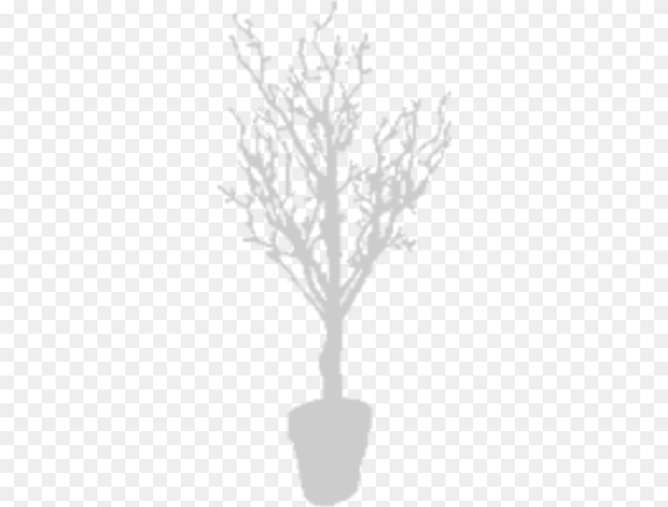 Houseplant, Plant, Potted Plant, Stencil, Leaf Free Png Download