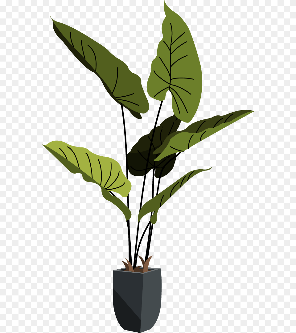 Houseplant, Leaf, Plant, Flower, Potted Plant Free Png