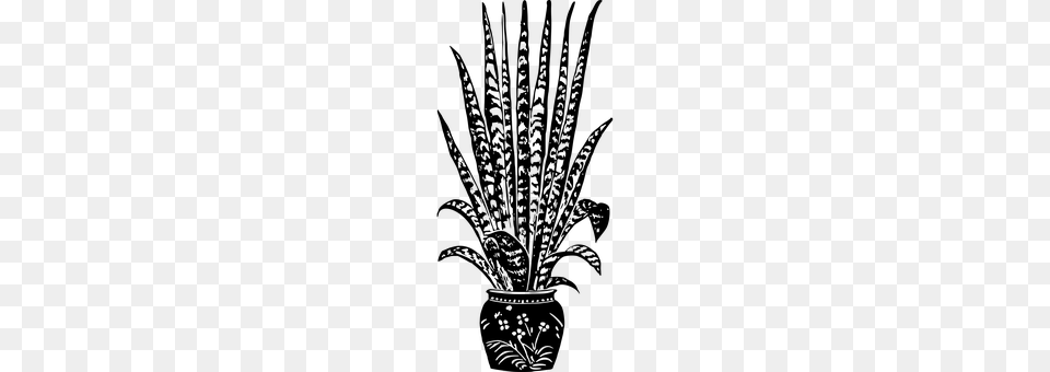 Houseplant Gray Png