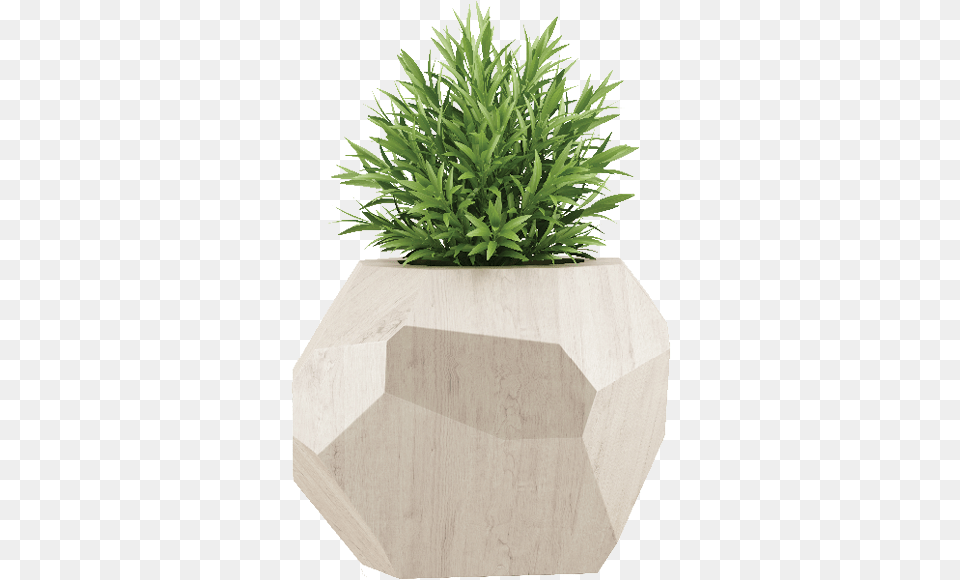 Houseplant, Jar, Plant, Planter, Potted Plant Free Transparent Png