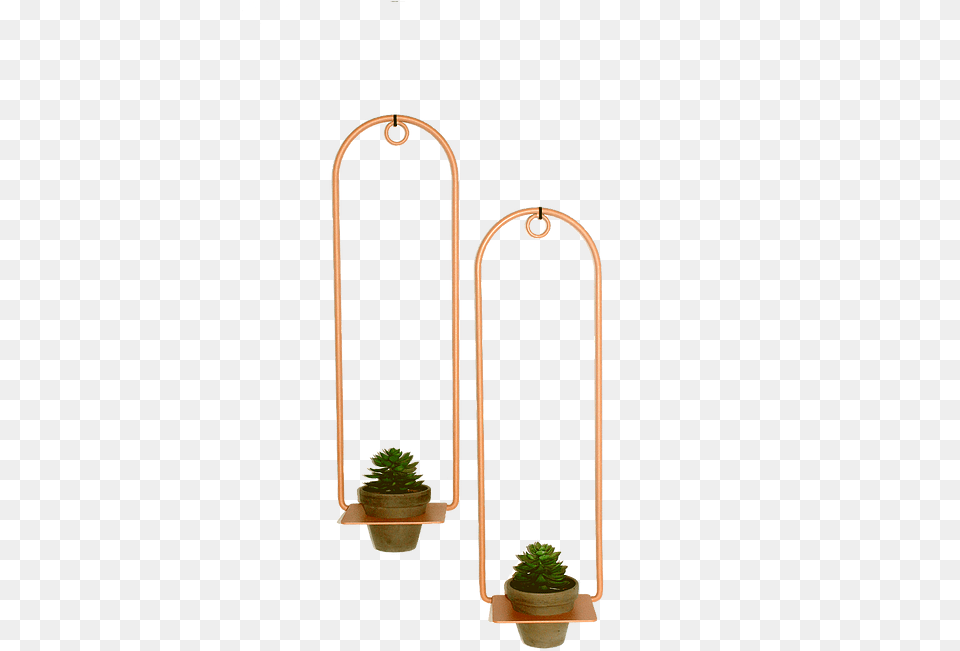 Houseplant, Jar, Plant, Planter, Potted Plant Png