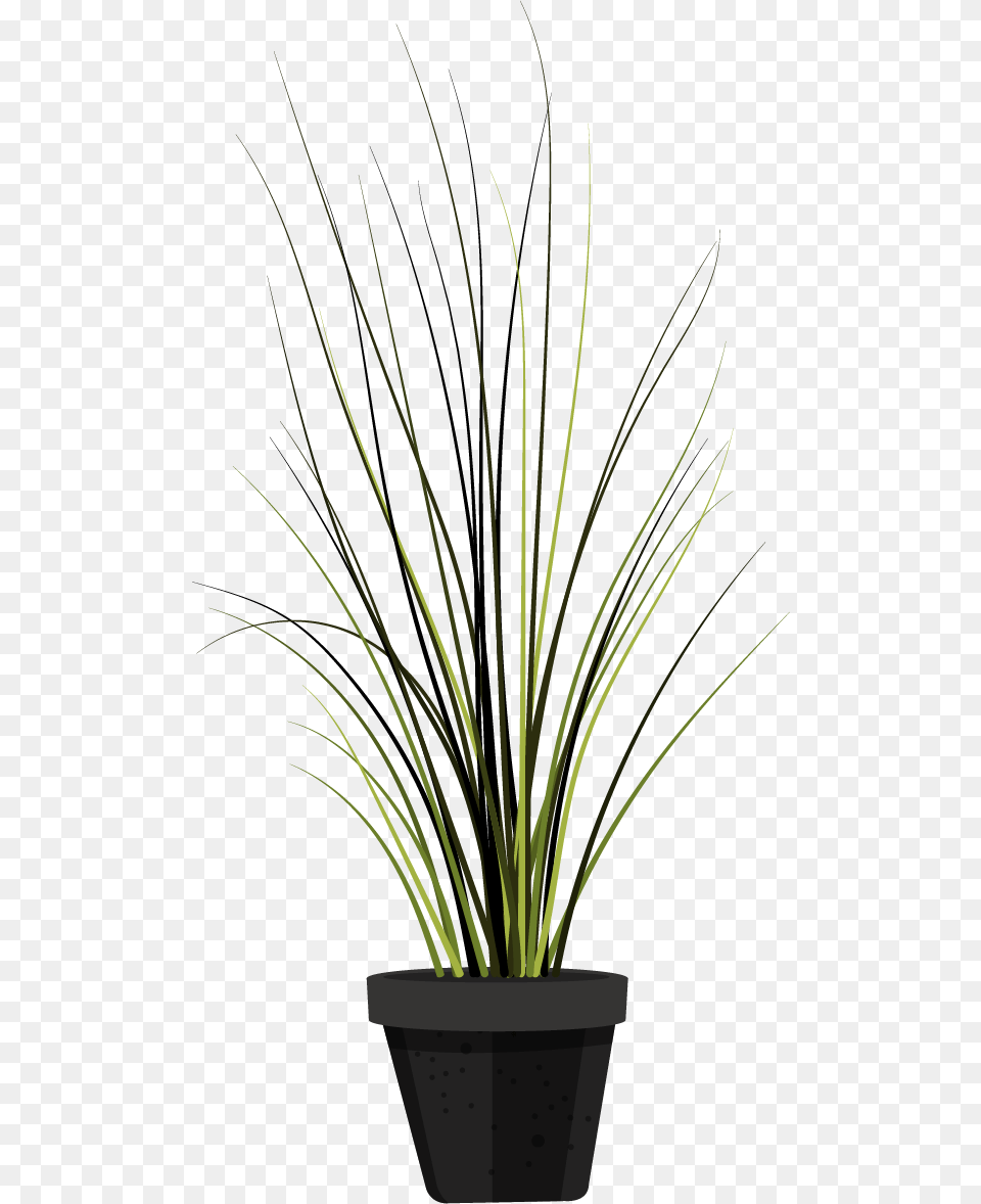 Houseplant, Flower, Flower Arrangement, Ikebana, Plant Png Image