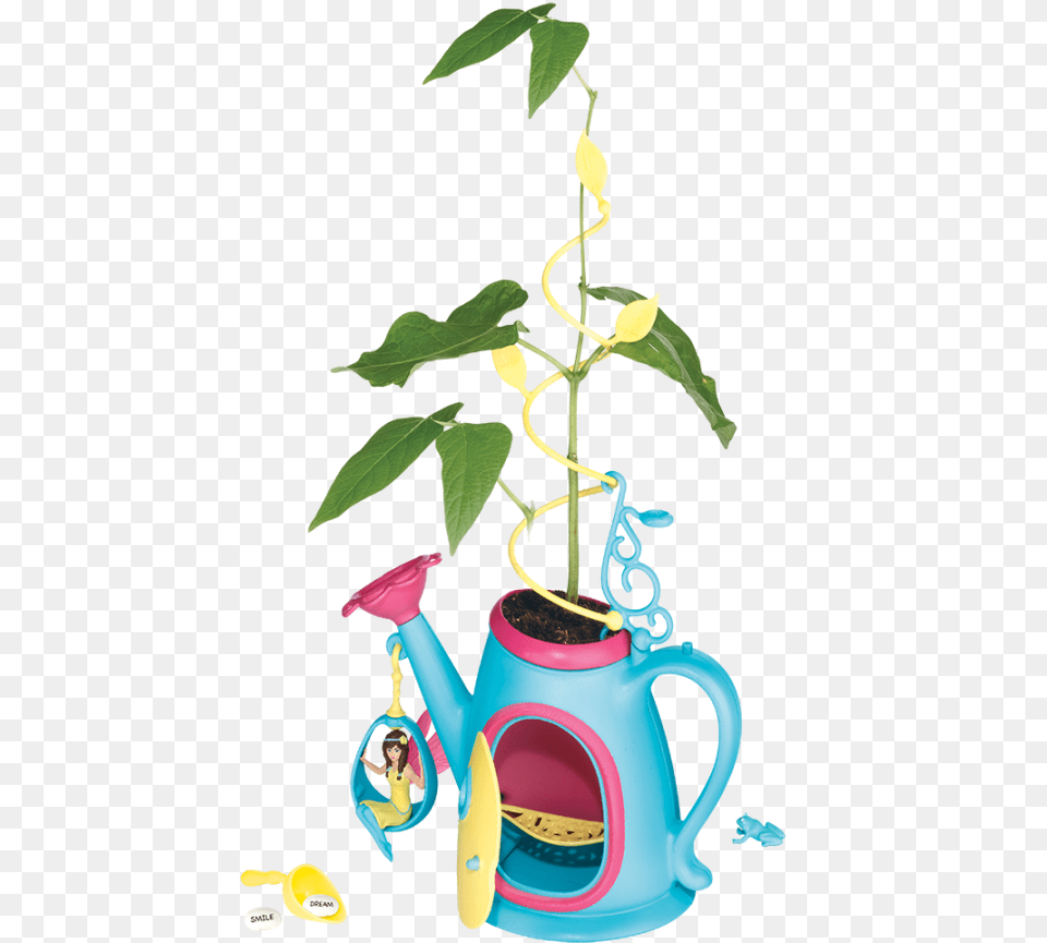 Houseplant, Pottery, Potted Plant, Plant, Vase Png Image