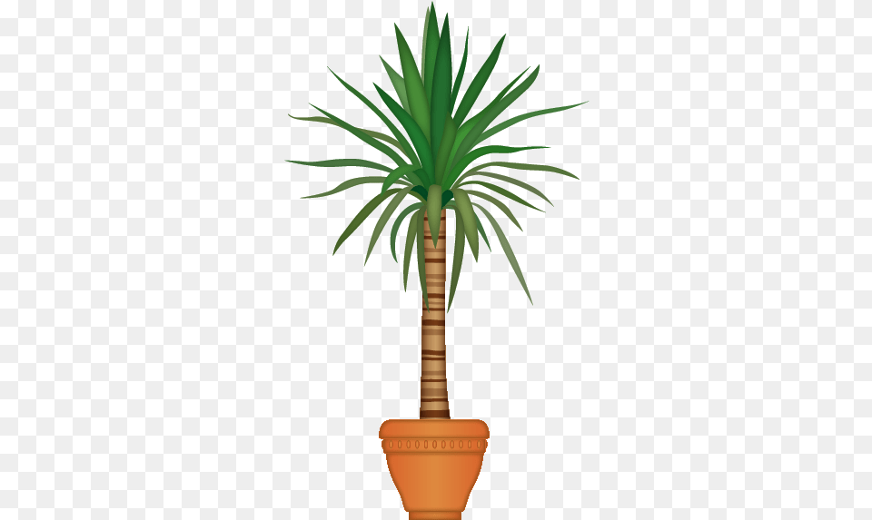 Houseplant, Palm Tree, Plant, Tree Free Transparent Png