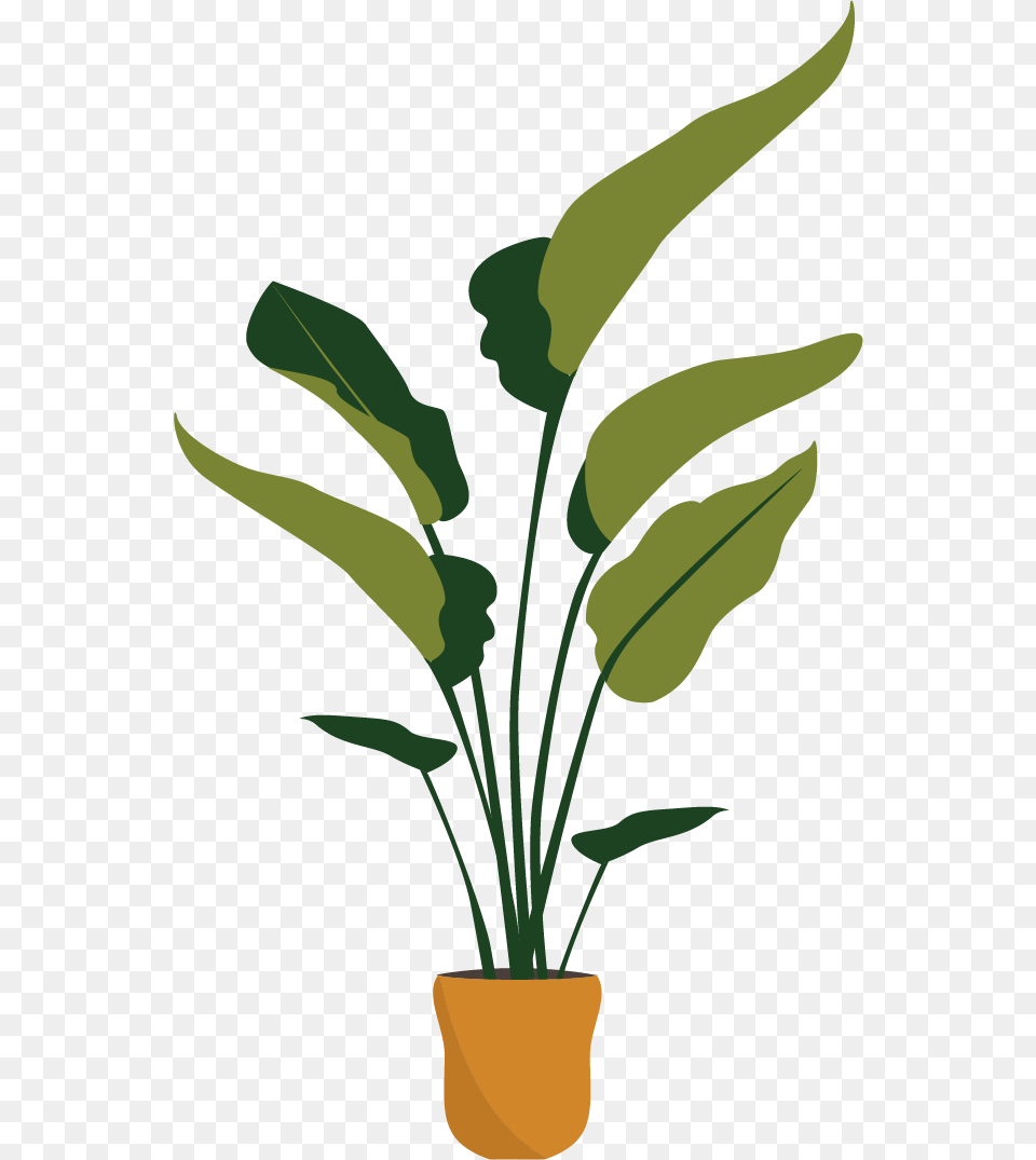 Houseplant, Leaf, Plant, Flower, Flower Arrangement Png