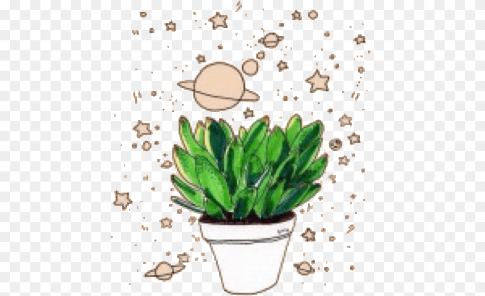 Houseplant, Jar, Plant, Planter, Potted Plant Png