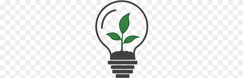 Houseplant, Leaf, Light, Plant, Lightbulb Free Png Download