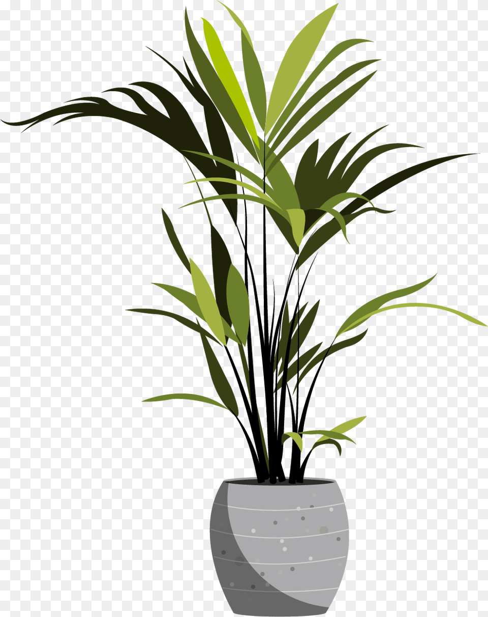 Houseplant Tall, Leaf, Palm Tree, Plant, Potted Plant Png Image