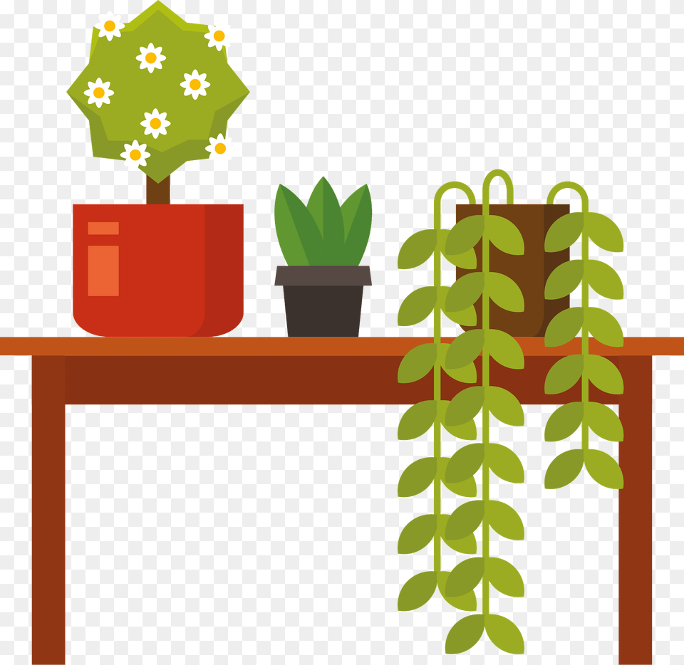 Houseplants Clipart, Plant, Potted Plant, Flower, Flower Arrangement Free Png