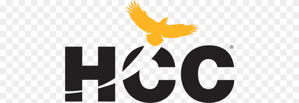 Houston Community College Houston Community College Pennant, Person, Animal, Bird, Eagle Png