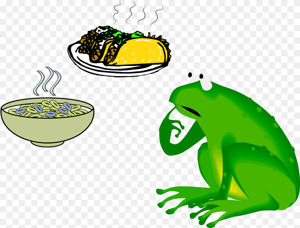 How About Some Marscapone Frog Belated Birthday, Amphibian, Animal, Wildlife, Green Free Png