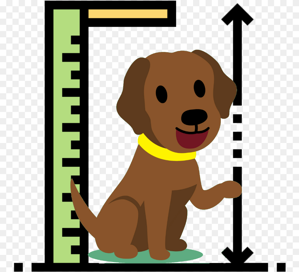 How Big Do Labs Get Icone Altura, Animal, Pet, Mammal, Puppy Free Png Download