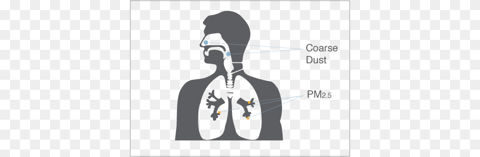 How Can Fine Particles Affect Me Health Effects Of Air Particulate, Adult, Male, Man, Person Free Png