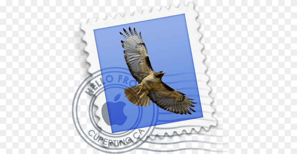 How Can I Send A Message Apple Mail Logo Svg, Animal, Bird, Buzzard, Hawk Png