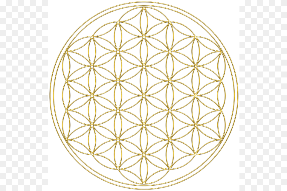 How Can Sacred Geometry Benefit You Simbolo Fiore Della Vita, Chandelier, Lamp, Pattern, Home Decor Png Image
