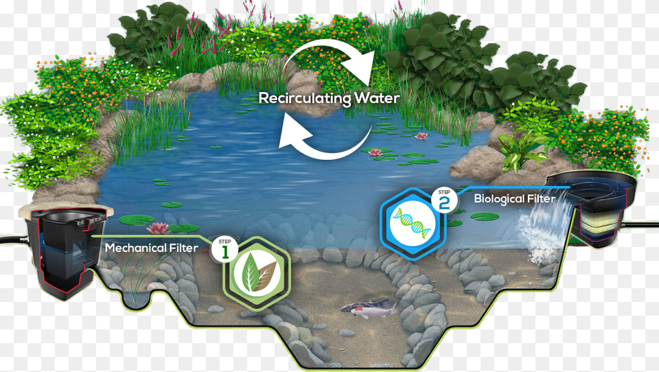How Does An Ecosystem Work With A Man Made Pond Man Made Pond Ecosystem, Land, Water, Outdoors, Nature Free Png