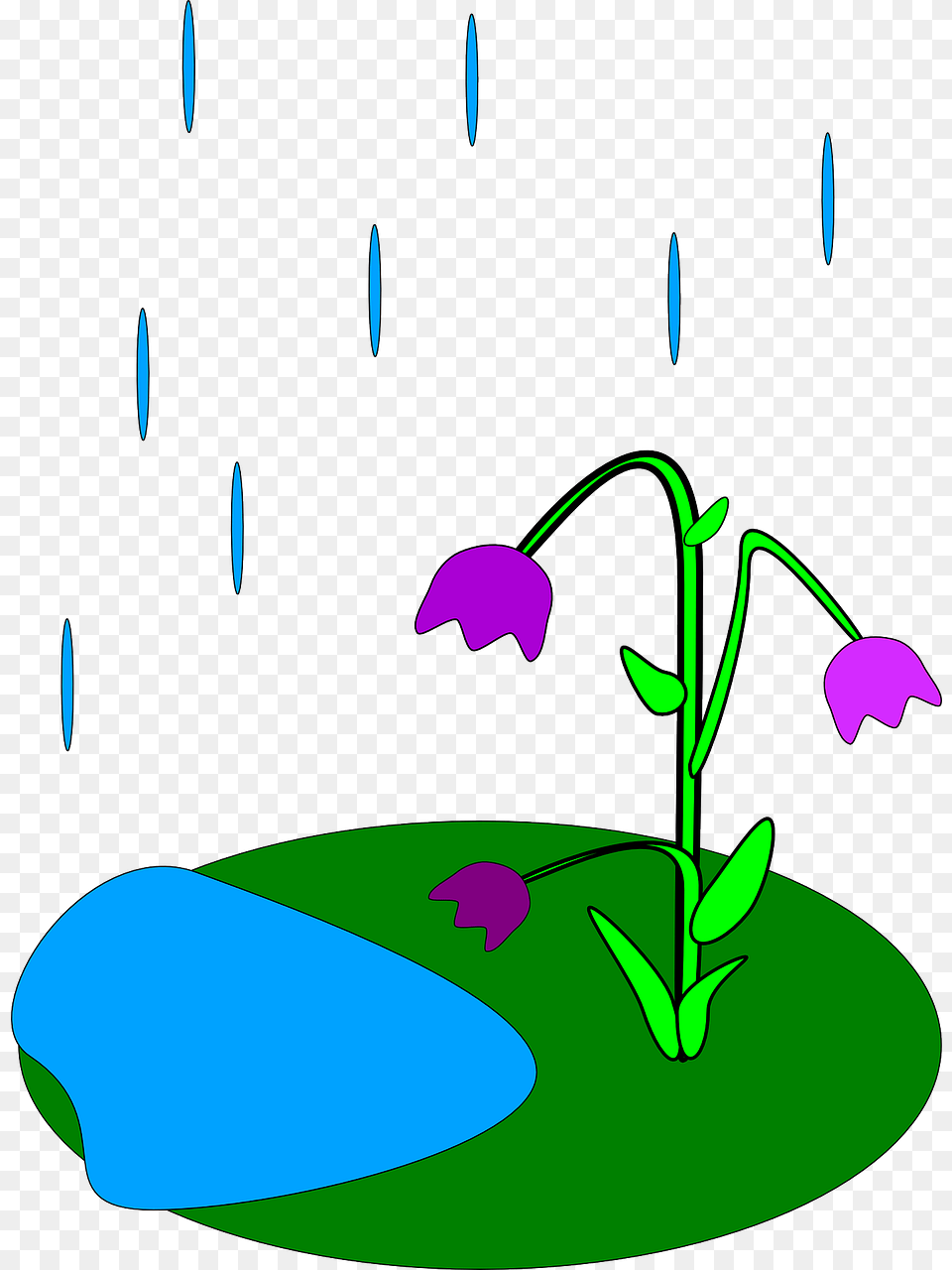 How Is Rain Formed Rain Facts Cool Kid Facts, Flower, Plant, Art, Graphics Free Png Download