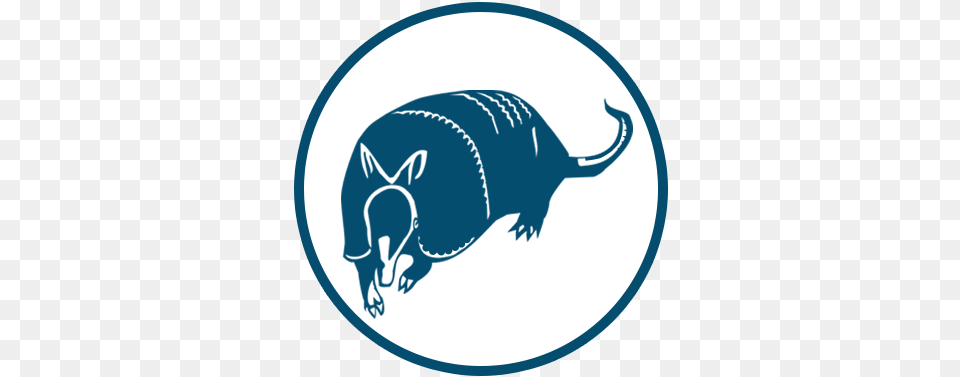 How It All Began Armadillo Technical Institute, Animal, Mammal, Wildlife Free Png