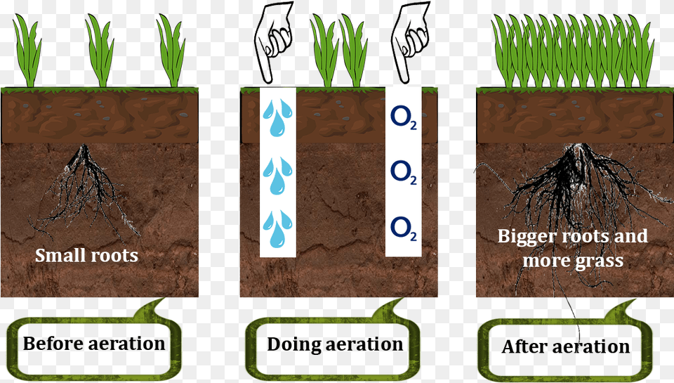 How Lawn Aerator Works Grass, Plant, Root, Soil Png