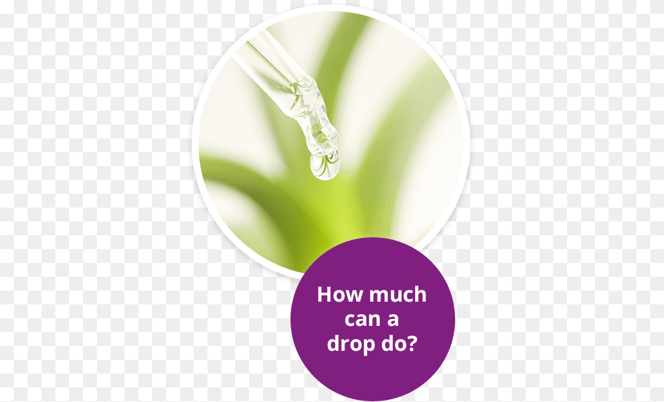 How Nature39s Most Potent Gift Delivers Health Prosperity Essential Oil, Droplet, Art, Graphics, Ice Free Transparent Png