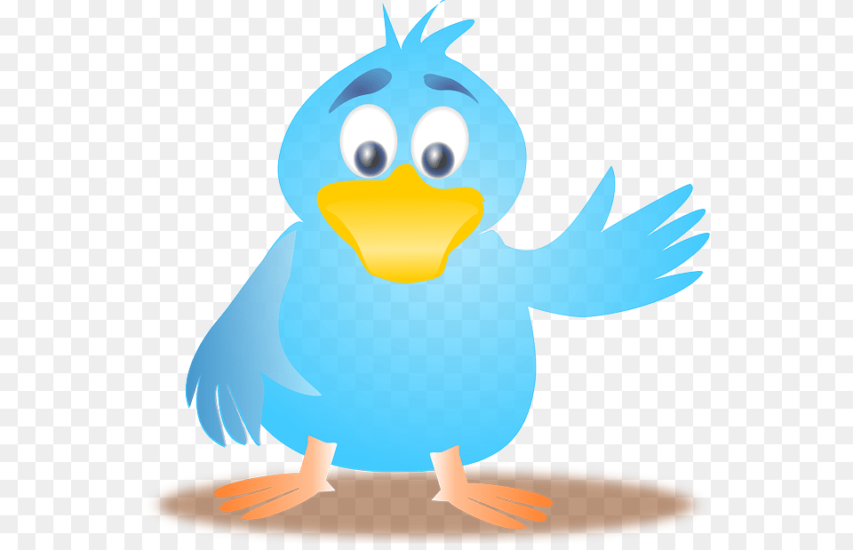 How Not To Look Like A Twit On Twitter, Animal, Beak, Bird, Penguin Free Png