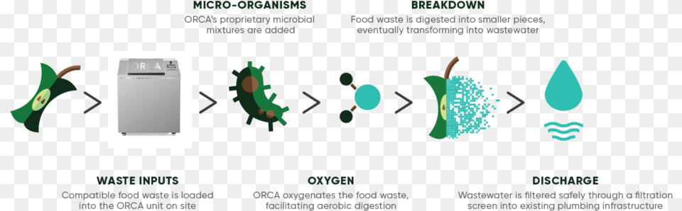 How Orca Works Cartoon, Electronics, Mobile Phone, Phone, Electrical Device Free Png