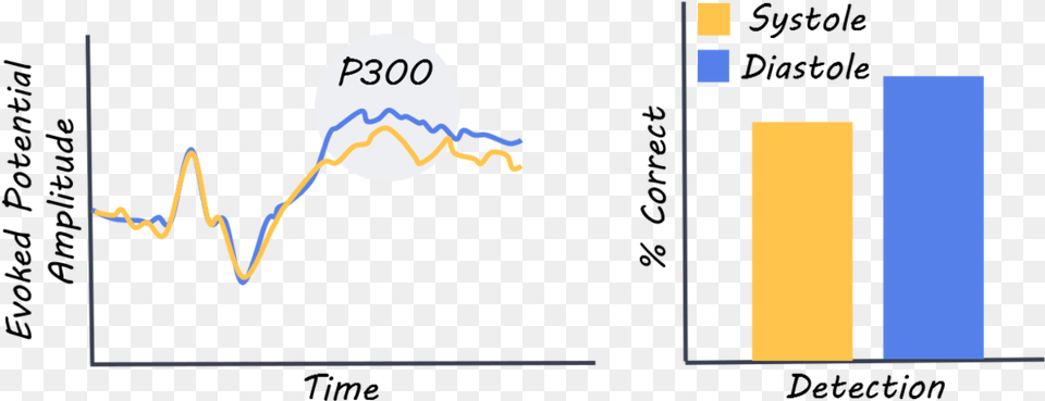 How The Heartbeat Influences Conscious Plot Free Png