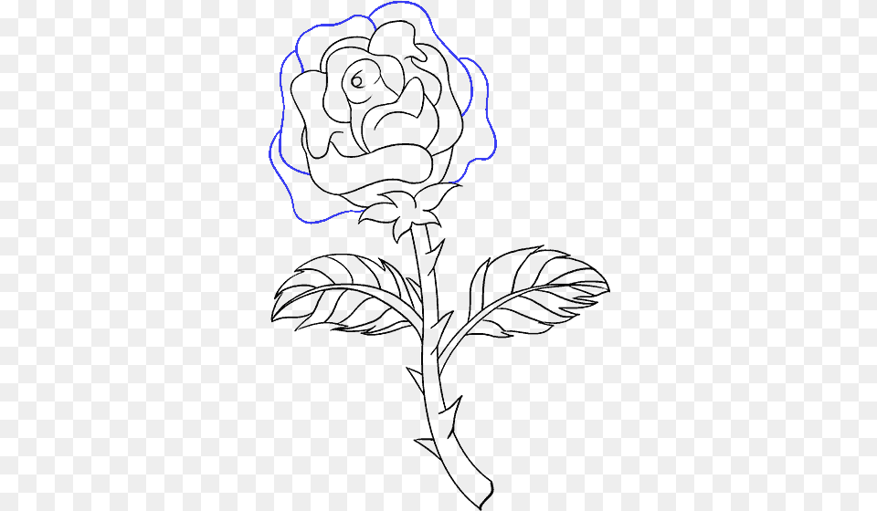 How To A Rose Easy Rose Drawing With Stem, Body Part, Hand, Person, Light Png