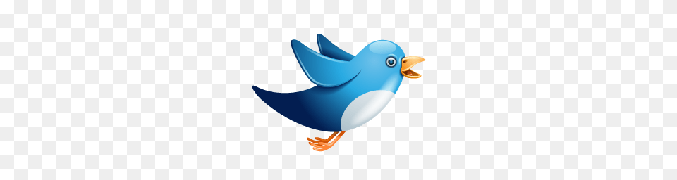 How To Add Animated Flying Twitter Bird Widget To Blogger, Animal, Jay, Fish, Sea Life Free Png Download