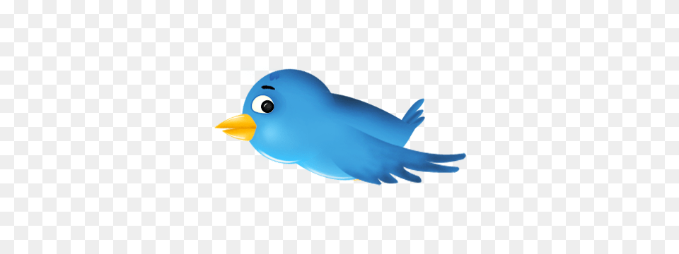 How To Add Animated Flying Twitter Cute Bird On Blogger Add, Animal, Finch, Jay, Beak Free Png