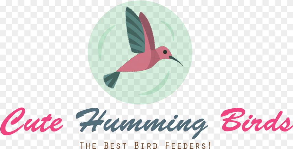 How To Attract Humming Birds Cute Humming Birds Coraciiformes, Animal, Bird, Hummingbird Png